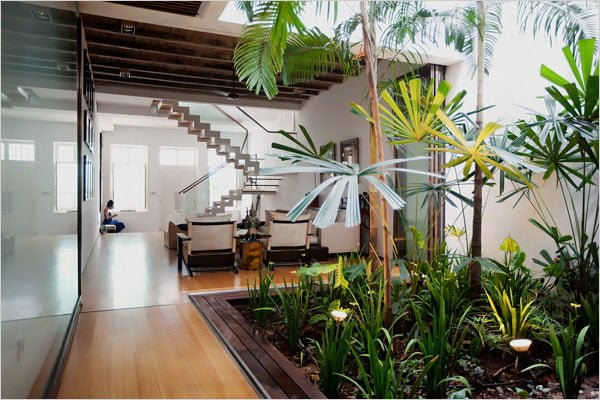 Jardim de Inverno na Sala? Pode!